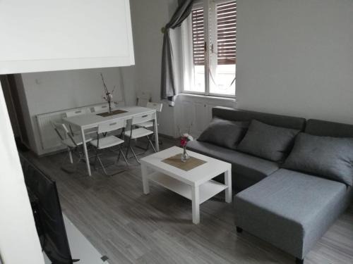 Szombathely Apartment | Museum Park Szell str - Downtown 4 Bedroom+Living Room apartment