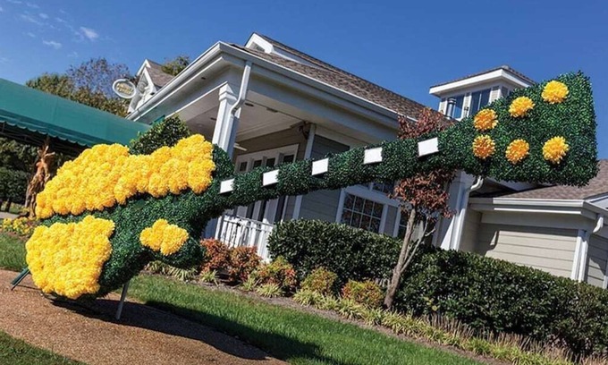 Pennington Bend Resort | Musical City! Wyndham Nashville 1 Bedroom Deluxe