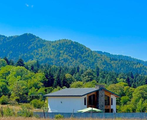Likani Cabin | MV Cottages