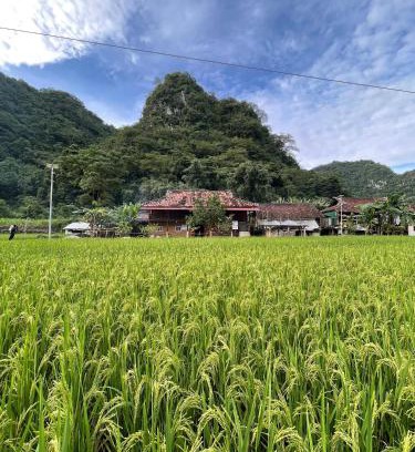 Quang Uyen Ski Chalet | Nùng An homestay