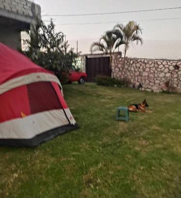 Texcalpan Other | Nada y acampa con tus perritos