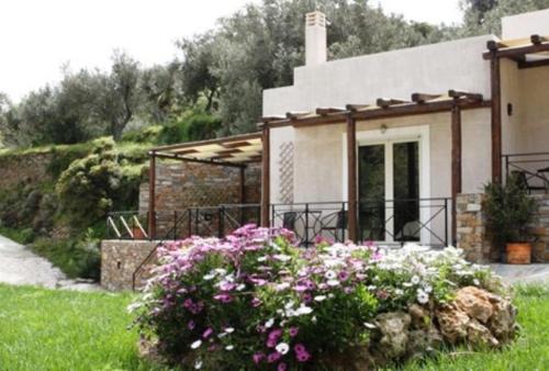Karystos Apartment | Naiades Villas