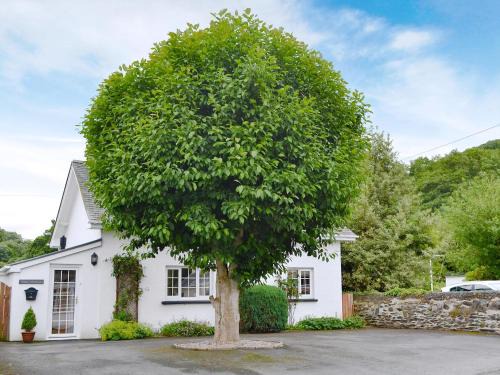 Borth House | Nant Y Bwthyn