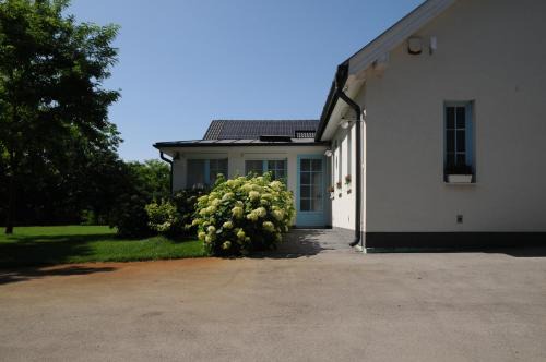 Roszke Apartment | Napsugaras Birtok