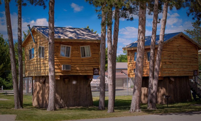 Wisconsin Dells Hotel | Natura Treescape Resort