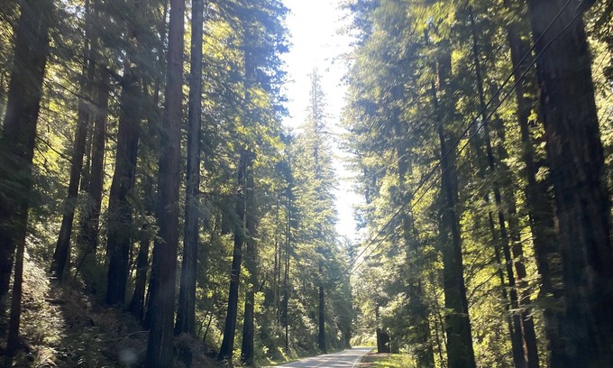 Garberville House | Nature Lovers Retreat