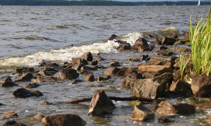 Region Hannover District Apartment | Nature Park Steinhude, sailing, surfing, walking cycling