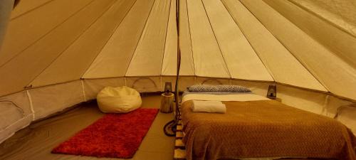 Porto Moniz Other | Nature Retreat - Laurel Forest