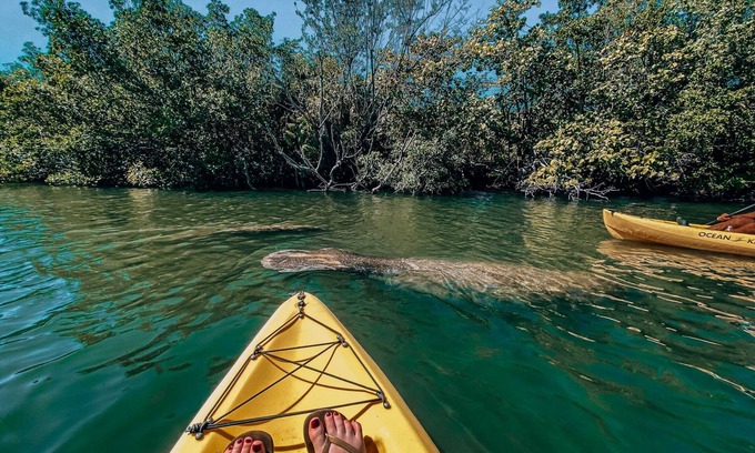 Key Largo Boat Rental | Nature Retreat Sailboat Escape