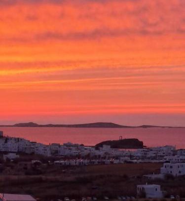 Naxos Town Apartment | Naxian Sofias garden