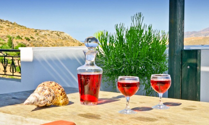 Eggares Apartment | Naxos Agrotouristic apartment in a quiet village