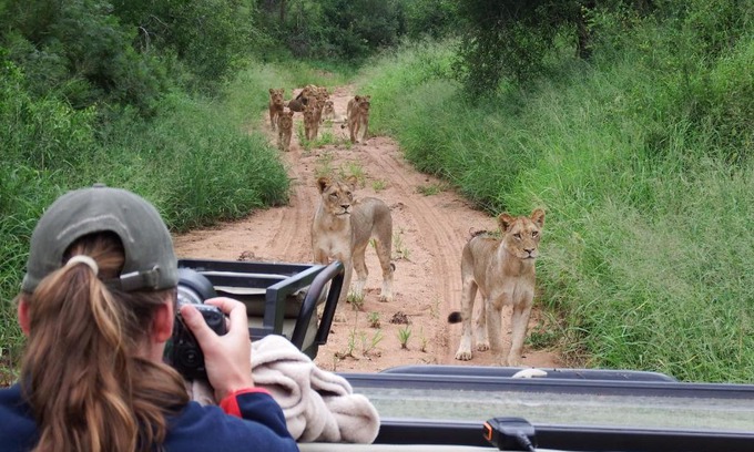 Phalaborwa Other | NDZUTI BUSH CAMP