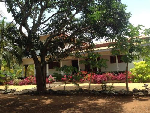 Pallama House | Neem Tree Villa
