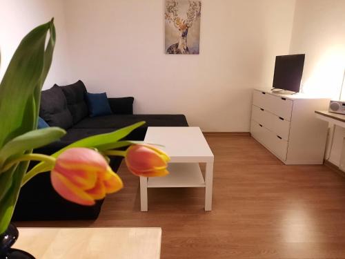 Nordhorn Apartment | Nelke63