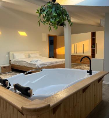 Sighetu Marmatiei Apartment | Nesto Rooms