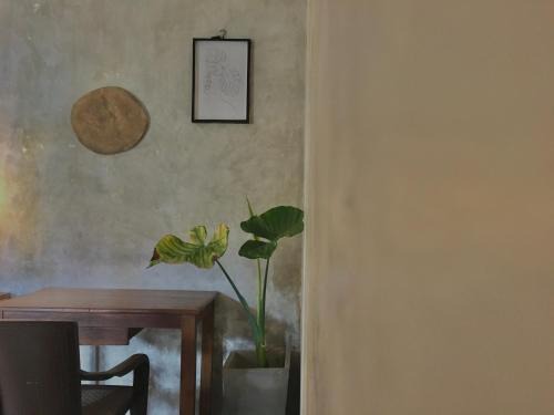 Ahangama Apartment | Nethu Freedom Cottage