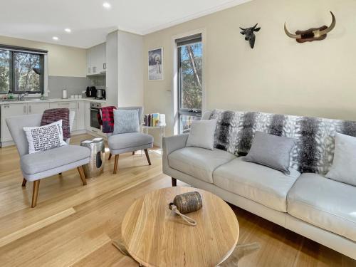 Sawmill Settlement House | Nevichella