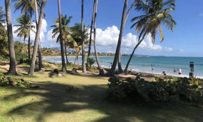 Candelero Abajo House | New 4 Bedrooms Beach House+ in Palmas Del Mar + free Golf Cart+ Bar+ Plunge Pool