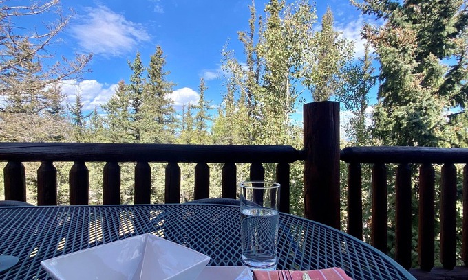Stagetop House | New! Beautiful Mountain Home with Playground on Treed Acreage - Woodland Vista Retreat