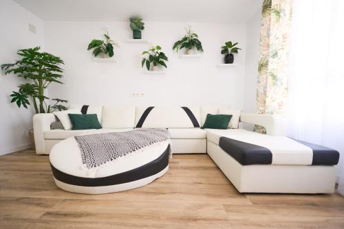 Benicarlo Apartment | New Big City Center Apartment 4th floor no elevator