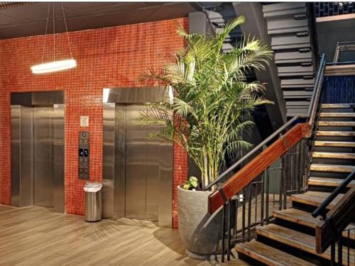 Eikenbosch Apartment | NEW BOSTON