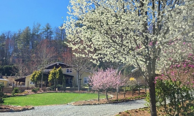 Brevard House | *NEW* “Casa Grande" Discount Rates! Private NEW HOT TUB, POOL TABLE, BASKE