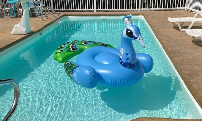 Littleton House | NEW DISCOUNTS 2025 listed-Lakefront home with pool, jacuzzi, and gorgeous views!