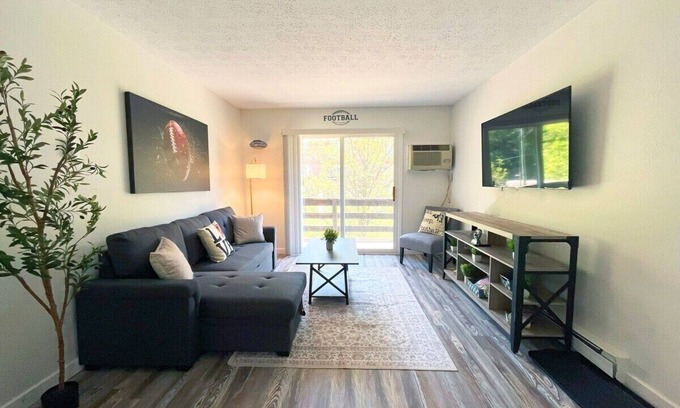 Canton Apartment | *New Hof Apt!* - Balcony - Pet Friendly - Sleeps 4