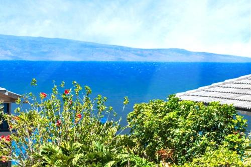 Napili Apartment | NEW KBM Resorts FREE CAR Kapalua Bay Villas Ocean View 1-Bedroom condo steps to beach with spacious lanai KBV-24G3