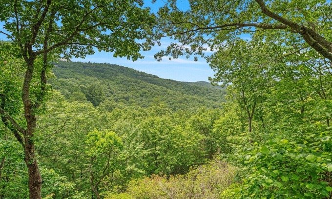 Big Canoe Cabin | New Listing Little Bear Lodge in Big Canoe