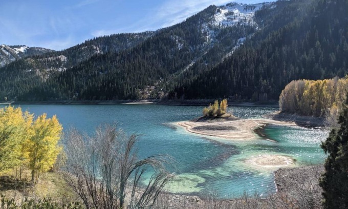 Alpine House | *New Listing* Woodland Chalet ~ Outdoor Adventures