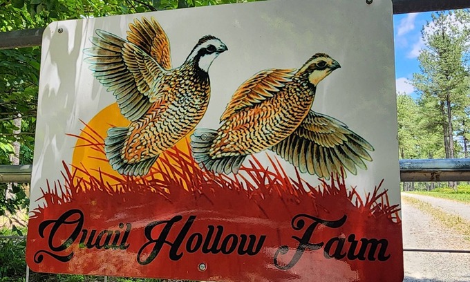 Penhook House | NEW PRIVATE COUNTRY GETAWAY! Minutes to SMITH MOUNTAIN LAKE Family-Friendly