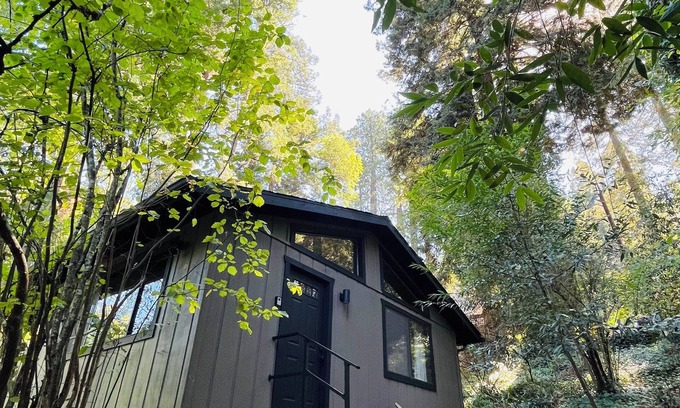 Camp Meeker Cabin | NEW - Relaxing Retreat with Hot Tub in the Woods