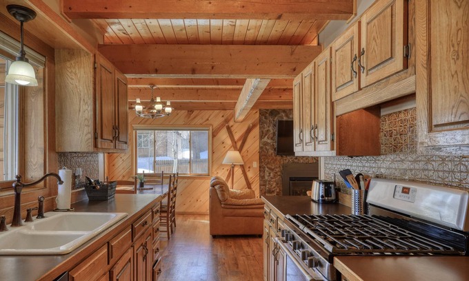 Pagosa Springs House | NEW The Wolf Den in Pagosa Springs