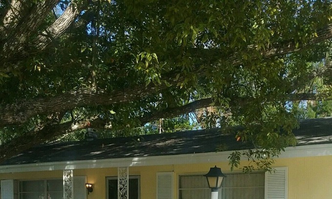 Holly Hill House | Newly Renovated Centrally Located House on a Corner Lot