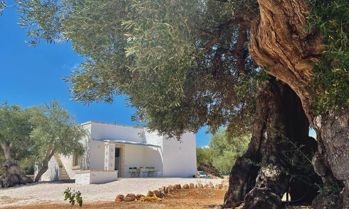 Ostuni Cottage | Newly renovated Lamia surrounded by olive trees and Mediterranean vegetation