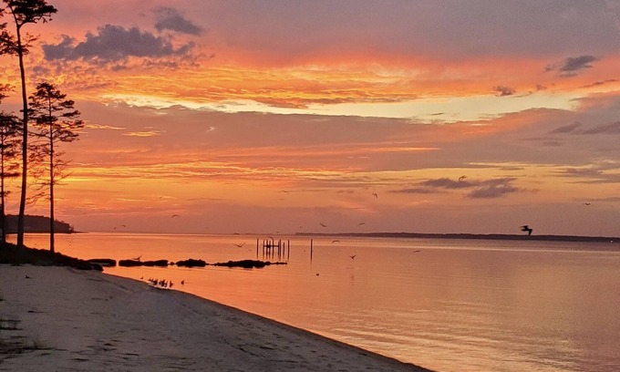 Craven County House | Newly Renovated, private beach, Oasis.