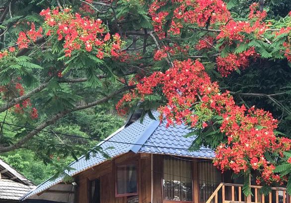 Mai Chau House | Nha Tan - Mai Chau Homestay & Tours