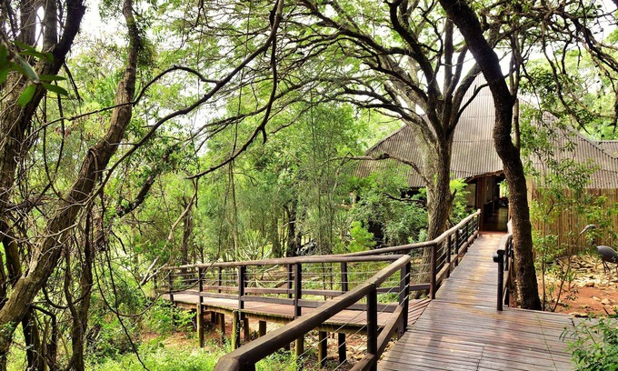 KwaNibela Cabin | Nibela Lake Lodge by Dream Resorts