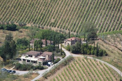 Gaiole in Chianti Apartment | Nicchio