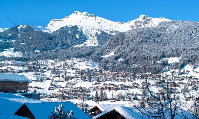 Grindelwald Apartment | Nice apartment for 5 people with WIFI, TV, balcony and panoramic view