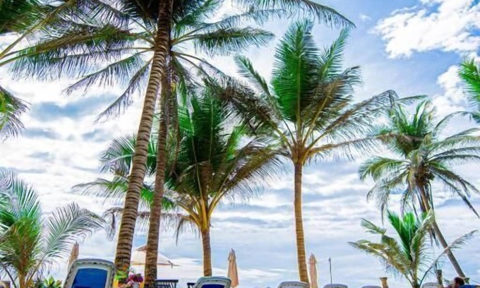 Hikkaduwa Hotel | Nico Beach Hotel