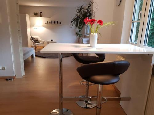 Brandenburg an der Havel Apartment | NICO Helles gemütliches Studio Innenstadt HomeOffice Workplace