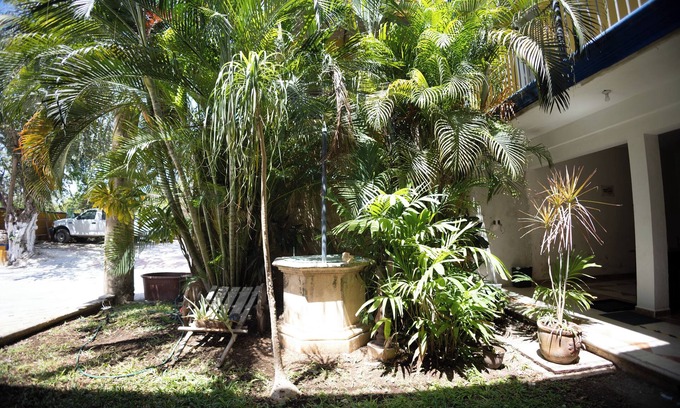 Campeche Hotel | Nicte Ha Campeche
