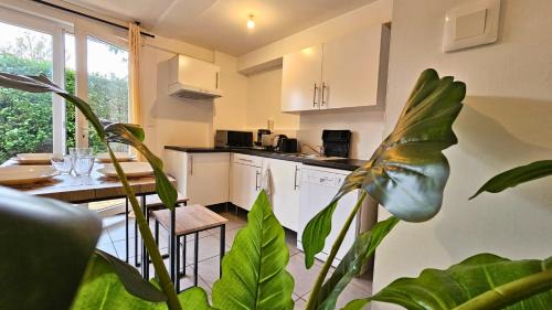 Labege Apartment | Nid confort proche du canal du midi 2 terrasses Labège