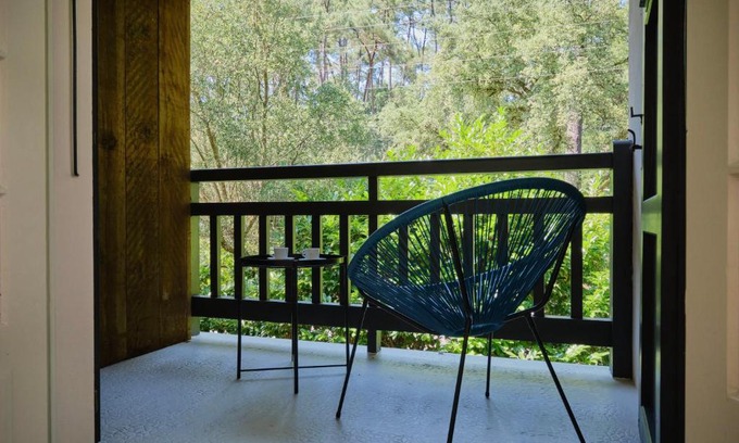 Soorts-Hossegor Apartment | Nid de Ruben, Villa Hostal Naou Hossegor Wifi Netflix Sauna