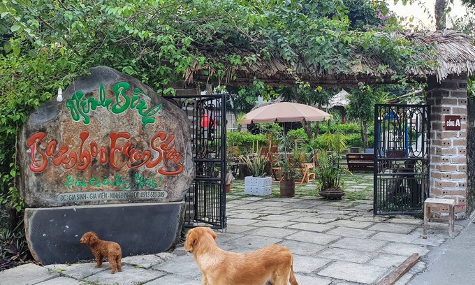 Gia Vien Cottage | Ninh Binh bamboo