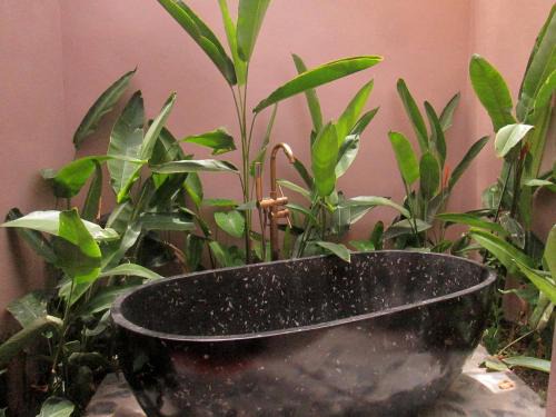 Gia Vien House | Ninh Binh Nature Homestay