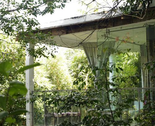 Entebbe Cabin | Nkofu Forest Cottage - Kitende