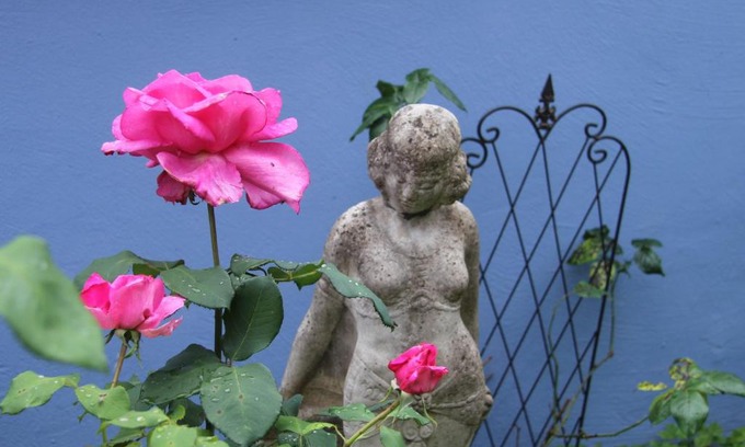 Kapellen-Drusweiler House | No.31 B&B im Rosengarten